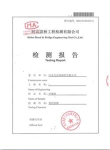 荆州公司检测报告